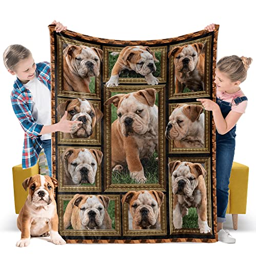 English Bulldog Dog