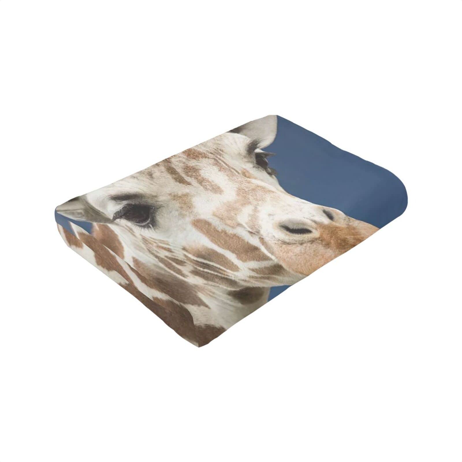 Soft Flannel Fleece Giraffe Throw Blanket 80x60 Inches - Cozy Animal Print Blanket for Couch, Bed & Air Conditioning Use - Cute Home Decor Gift