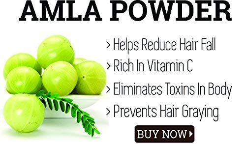 Premium Organic Amla Powder for Hair Growth (600g) - Natural Ayurvedic Treatment for Stronger, Healthier Hair | Perfect for DIY Hair Masks, Oils & Scalp Treatments