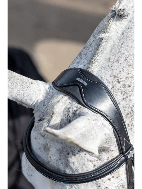 Le Mieux Competition Flash Bridle for Horses - Premium Show Jumping & Dressage Bridle with Flash Noseband - Perfect for Equestrian Competitions & Training