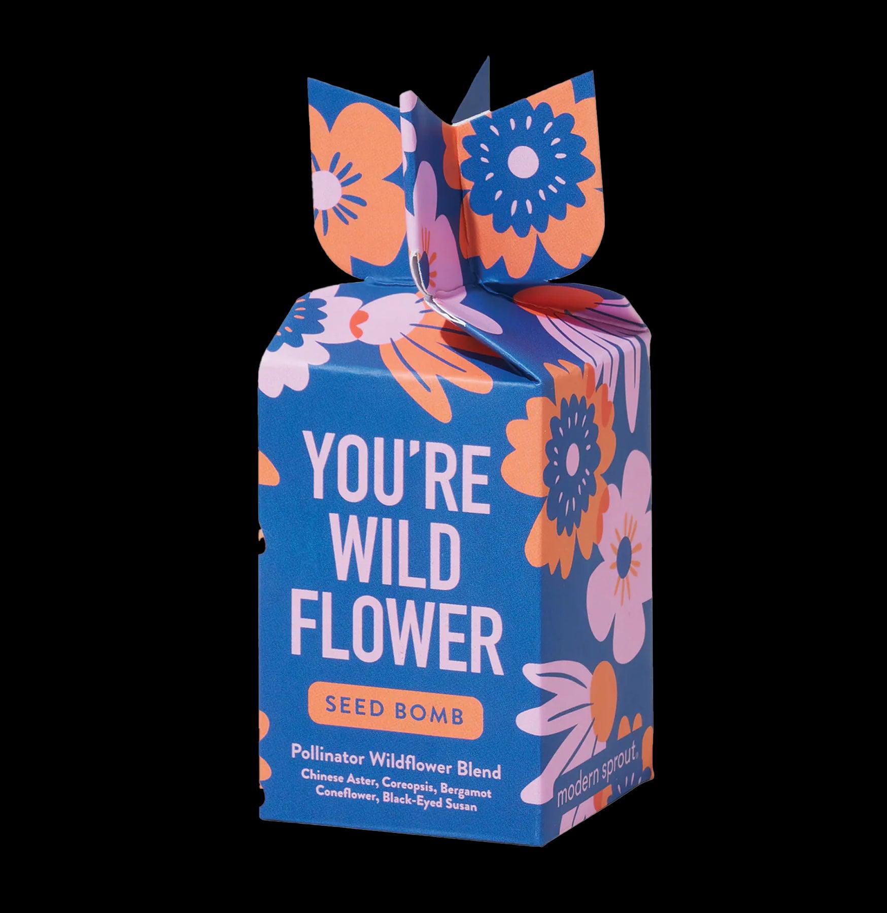 Organic Wildflower Seed Bombs for Planting - Easy Grow Native Pollinator Garden Kit - Perfect for Eco-Friendly Gifting & Backyard Beautification