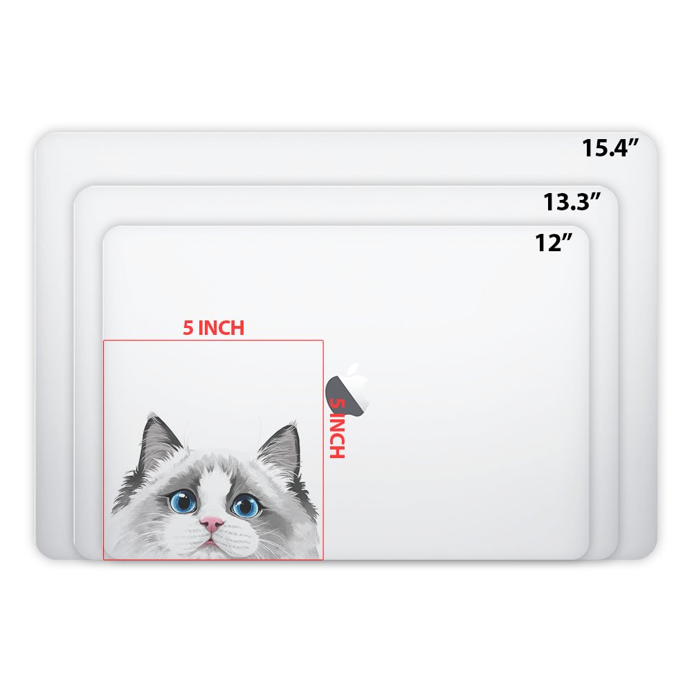 5 x 5 Inch White Silver Point Ragdoll Cat Vinyl Decal Stickers - Removable Laptop Decals for MacBook, iPad, Phone, Car, Window | Cute Pet Decor, DIY Stickers for Flat Surfaces