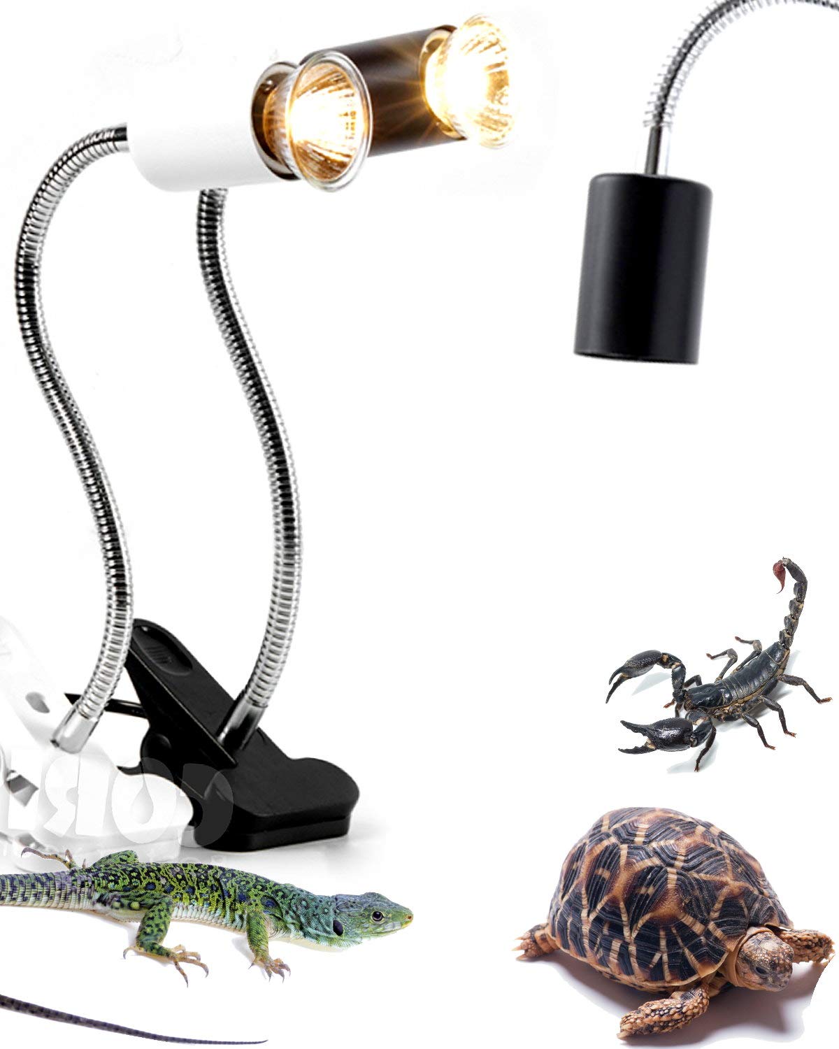 Wagooly Reptile Heat Lamp Fixture with Bulb - Adjustable Temperature Basking Light for Bearded Dragons, Geckos, Turtles & Terrariums | Perfect for Reptile Habitats, Night Heating & UVB Supplement | Clamp Lamp with 75W Long Lifespan Bulb