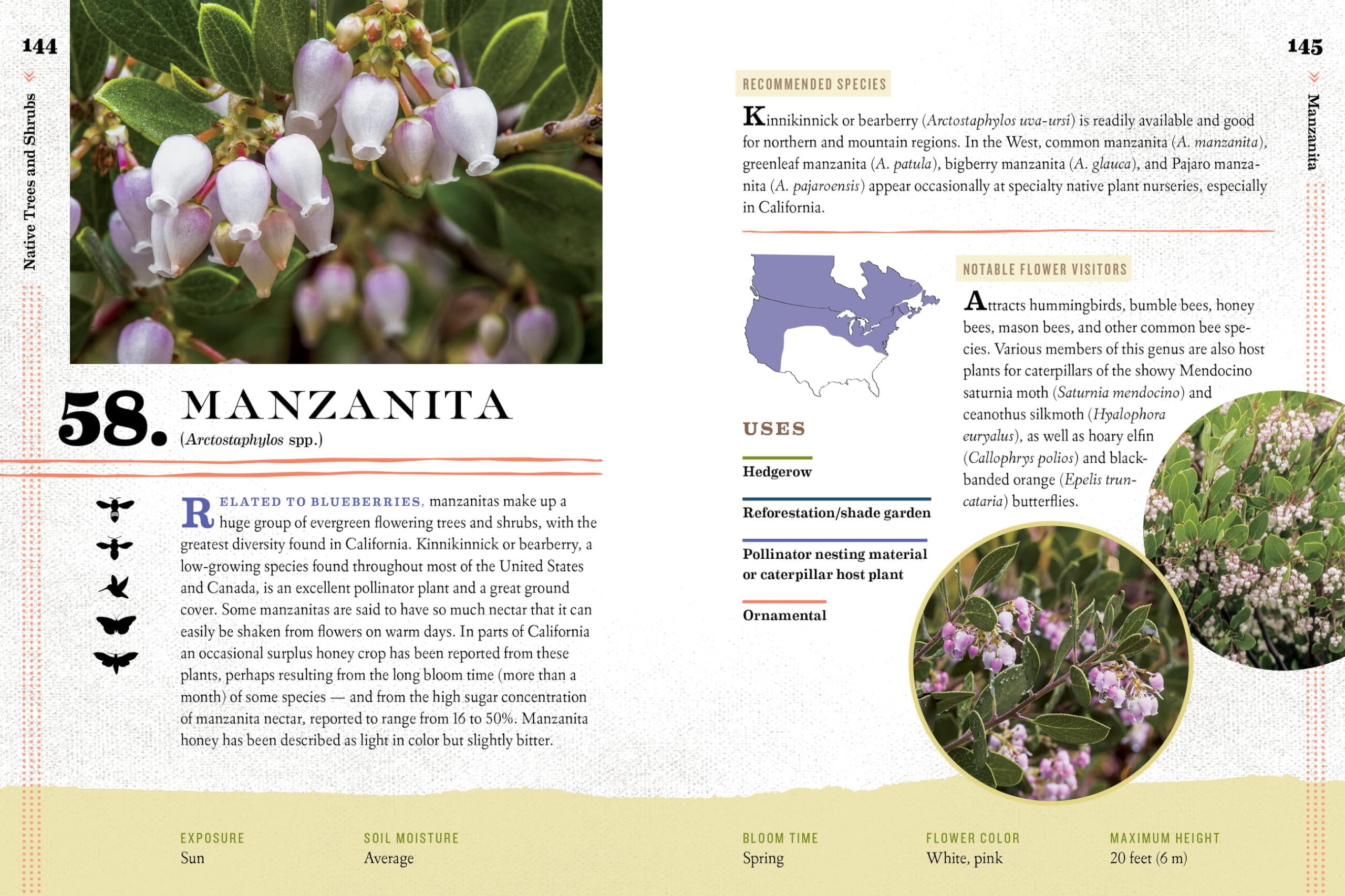 100 Plants to Feed the Bees: The Ultimate Guide to Creating a Pollinator-Friendly Garden for a Thriving Ecosystem | Perfect for Backyards, Urban Gardens & Sustainable Landscaping