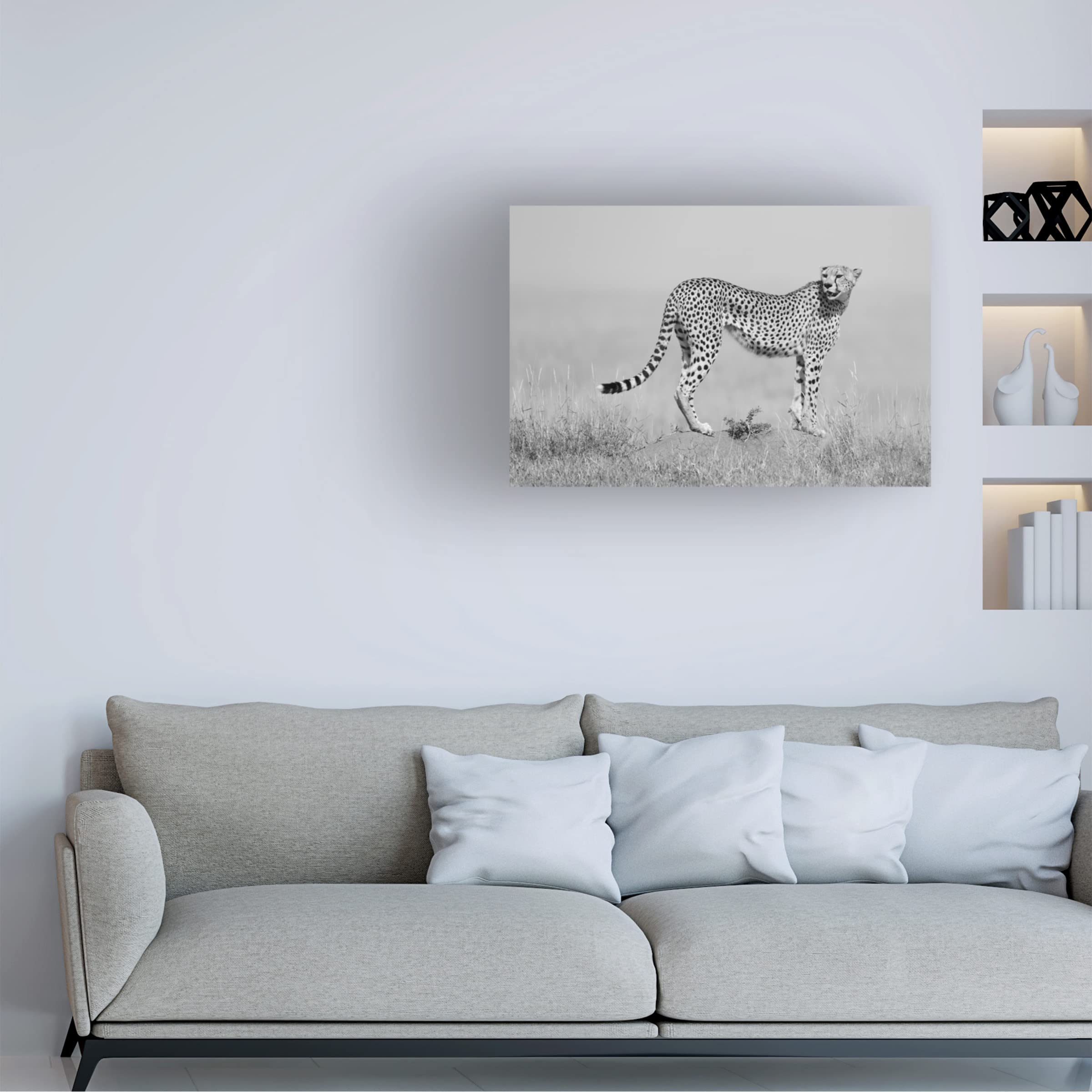 Trademark Fine Art 'Elegance In Black And White' Canvas Wall Art by Marco Pozzi - Modern Abstract Painting for Living Room, Bedroom & Office Decor