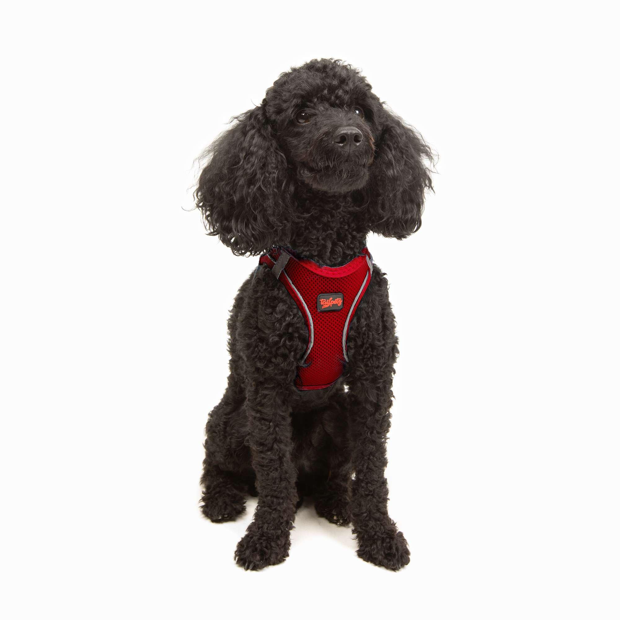 Tailpetz XS No Pull Dog Harness - Adjustable Step-in Reflective Vest for Small Dogs & Puppies - Red Harness for Training, Walking & Outdoor Adventures (Red, XS) - Perfect for Daily Walks, Jogging & Nighttime Safety