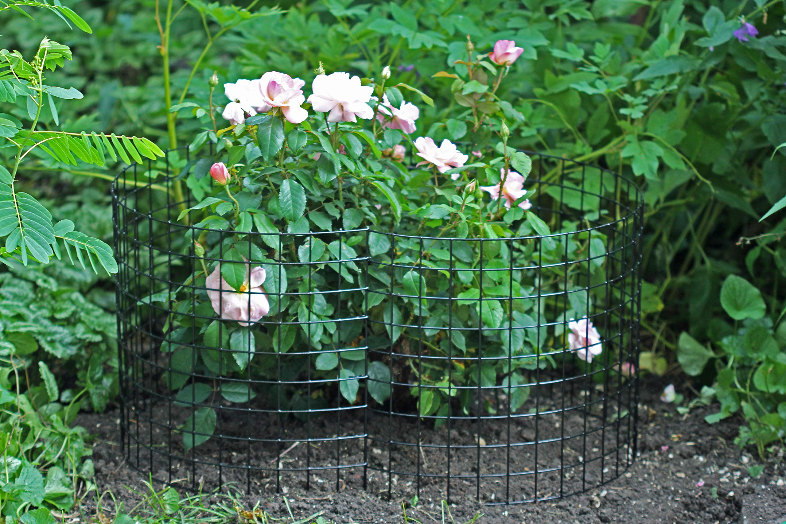 Erva Bunny Barricade Plant Protector Cage (5 Pack) - Durable Garden Plant Cages for Outdoor Use - Protect Plants from Rabbits, Deer & Pests - Made in USA - Ideal for Vegetable Gardens, Flower Beds & Backyard Landscaping