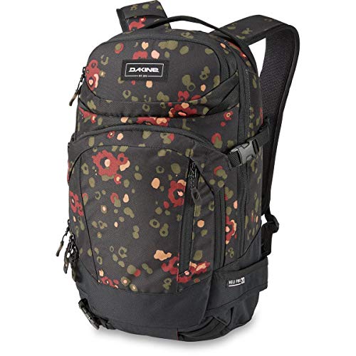 Begonia