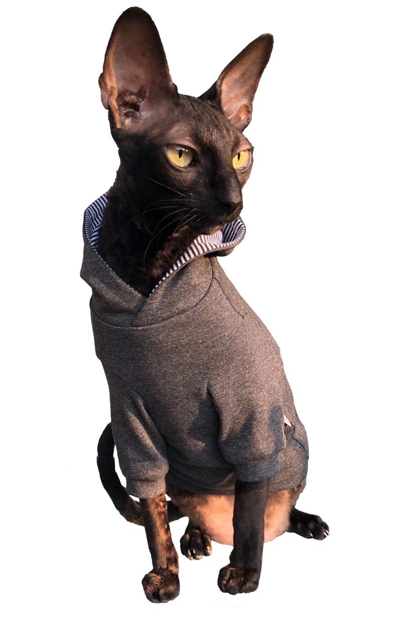 Dark Grey Hoodie for Sphynx Cats - Home Sweet Home Design | Warm & Comfortable Hairless Cat Clothes for Indoor & Outdoor Use (Size L) | Perfect for Cold Weather, Photo Shoots, and Stylish Pet Fashion