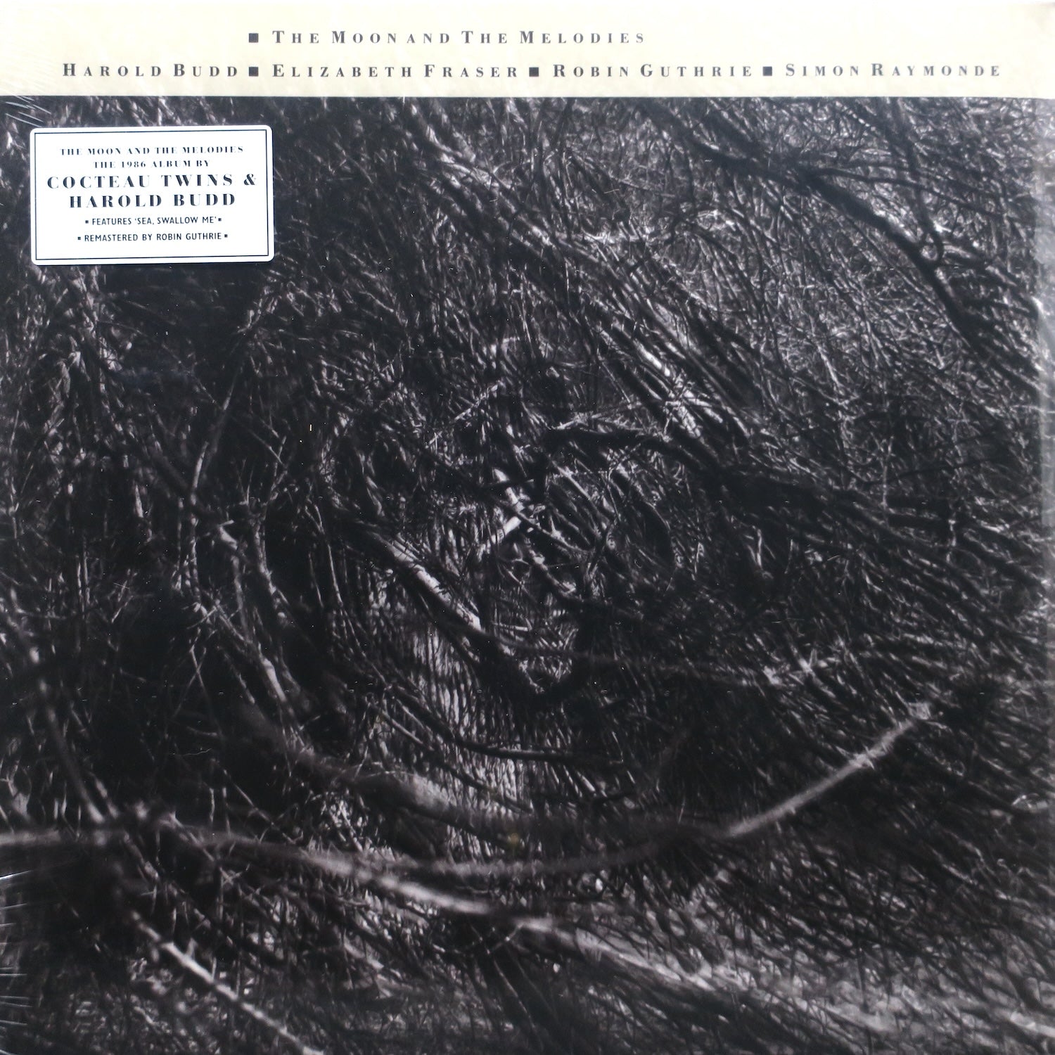 COCTEAU TWINS & HAROLD BUDD 'The Moon And The Melodies' Vinyl LP Record - Limited Edition Alternative Rock Music for Audiophiles & Vinyl Collectors - Perfect for Home Listening & Music Enthusiast Gifts