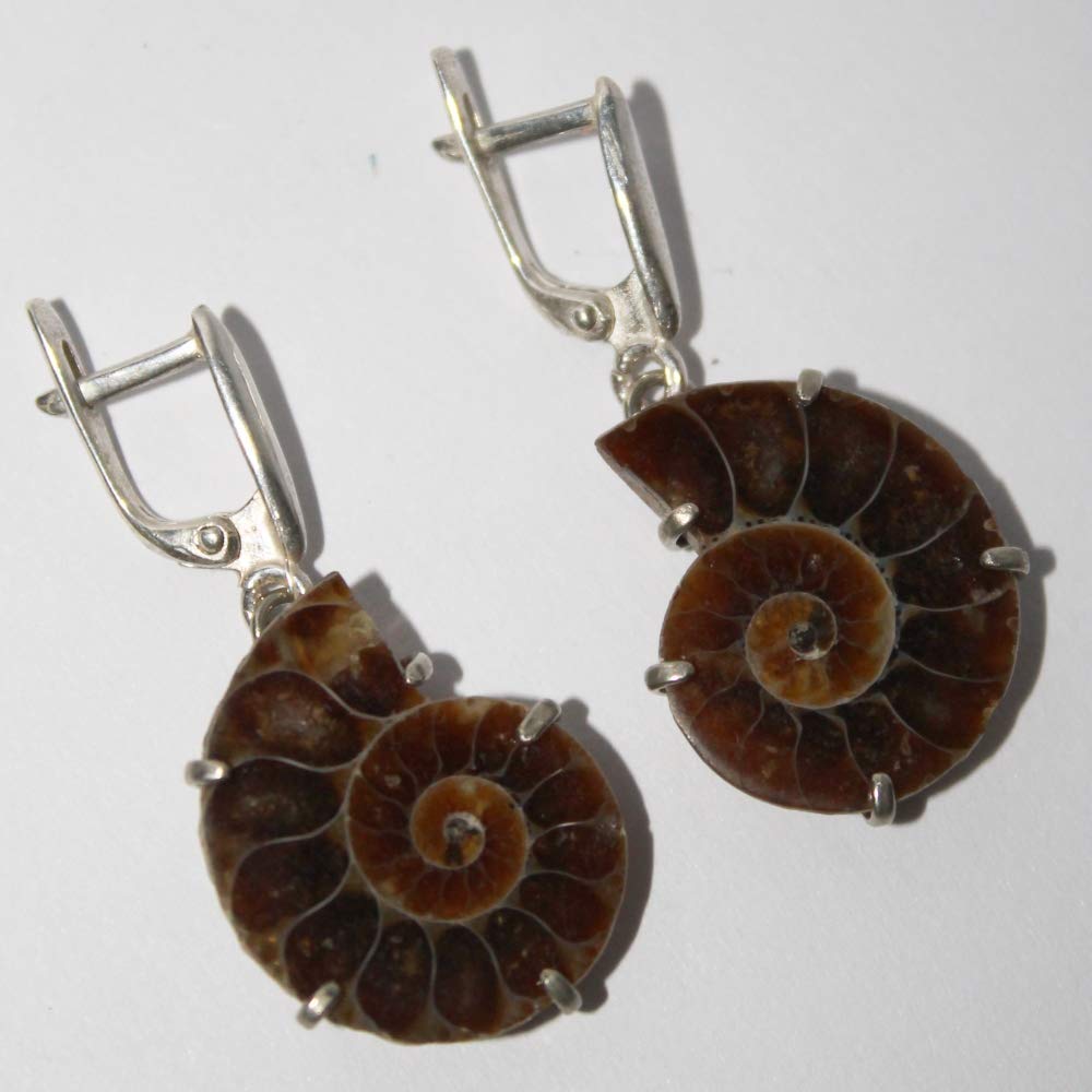 Natural Ammonite Fossil Earrings – Handmade Dangle Jewelry for Women | Perfect Gift for Nature Lovers & Boho Style Outfits