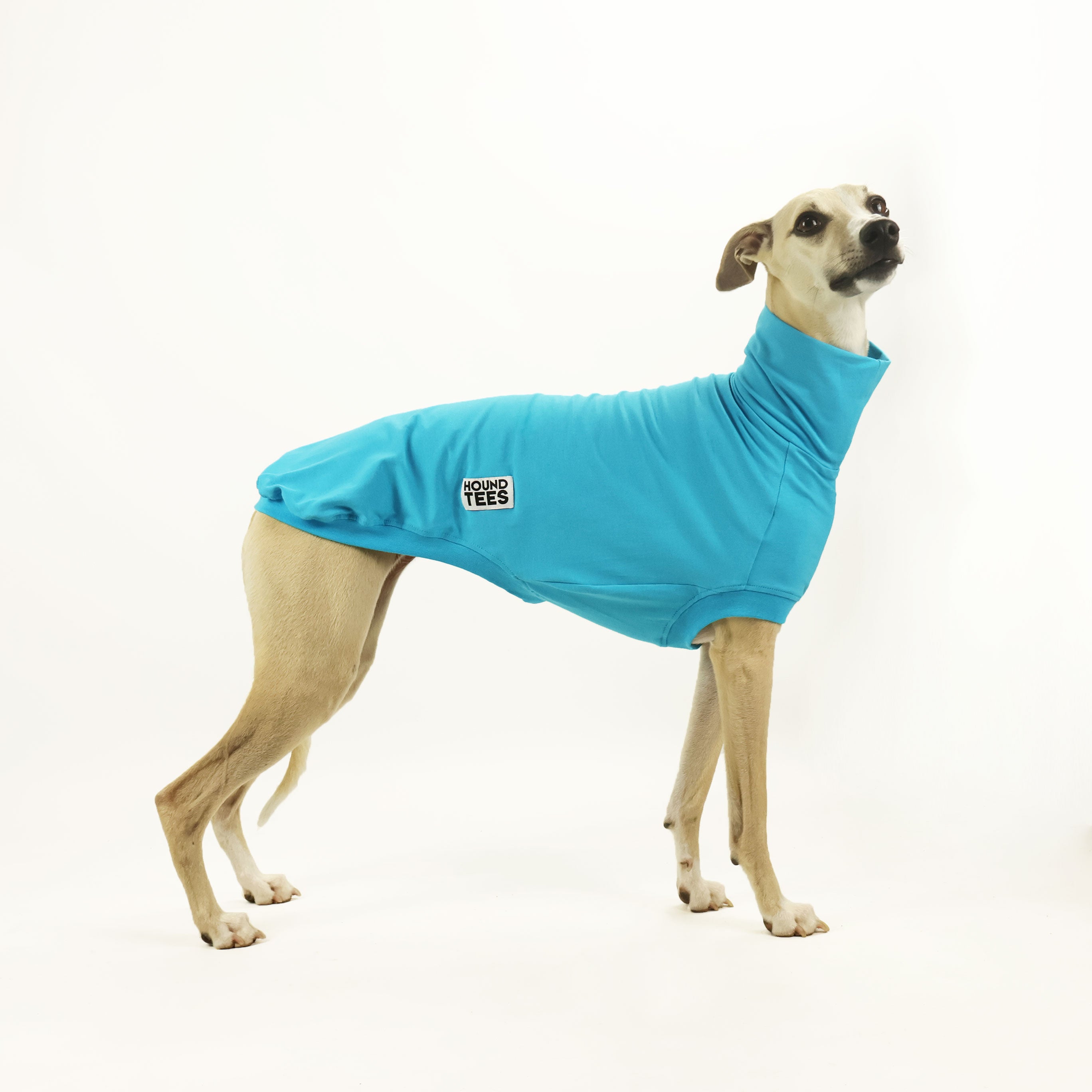 Bluey Whippet Sleeveless Base Layer - Lightweight Cooling Undershirt for Running, Hiking & Outdoor Activities
