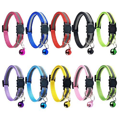 Set of 10 Colors