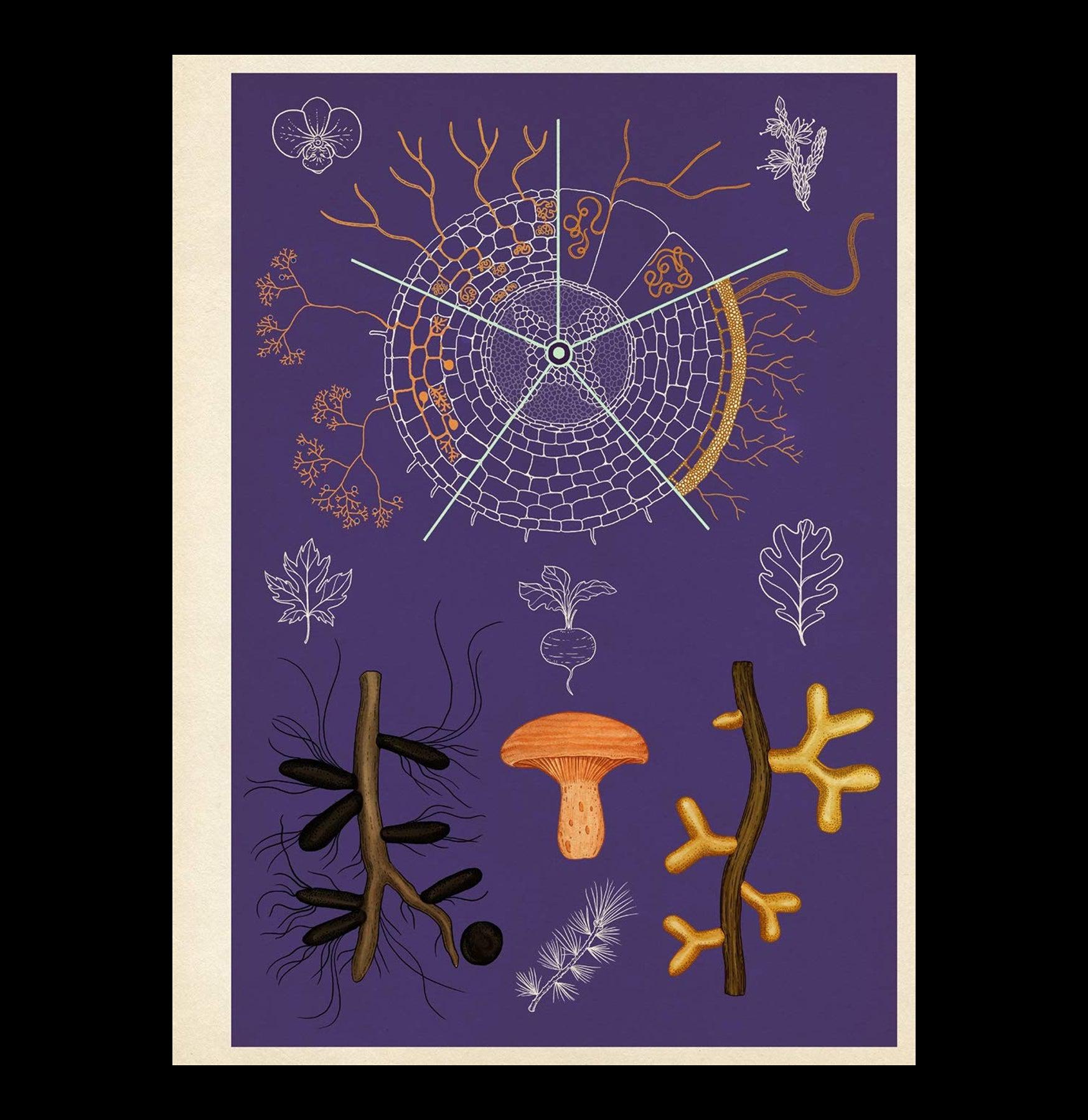 Fungarium Poster Book - Mushroom Identification Guide & Nature Decor for Home, Classroom, or Office | Perfect for Mycologists, Nature Lovers & Educational Use