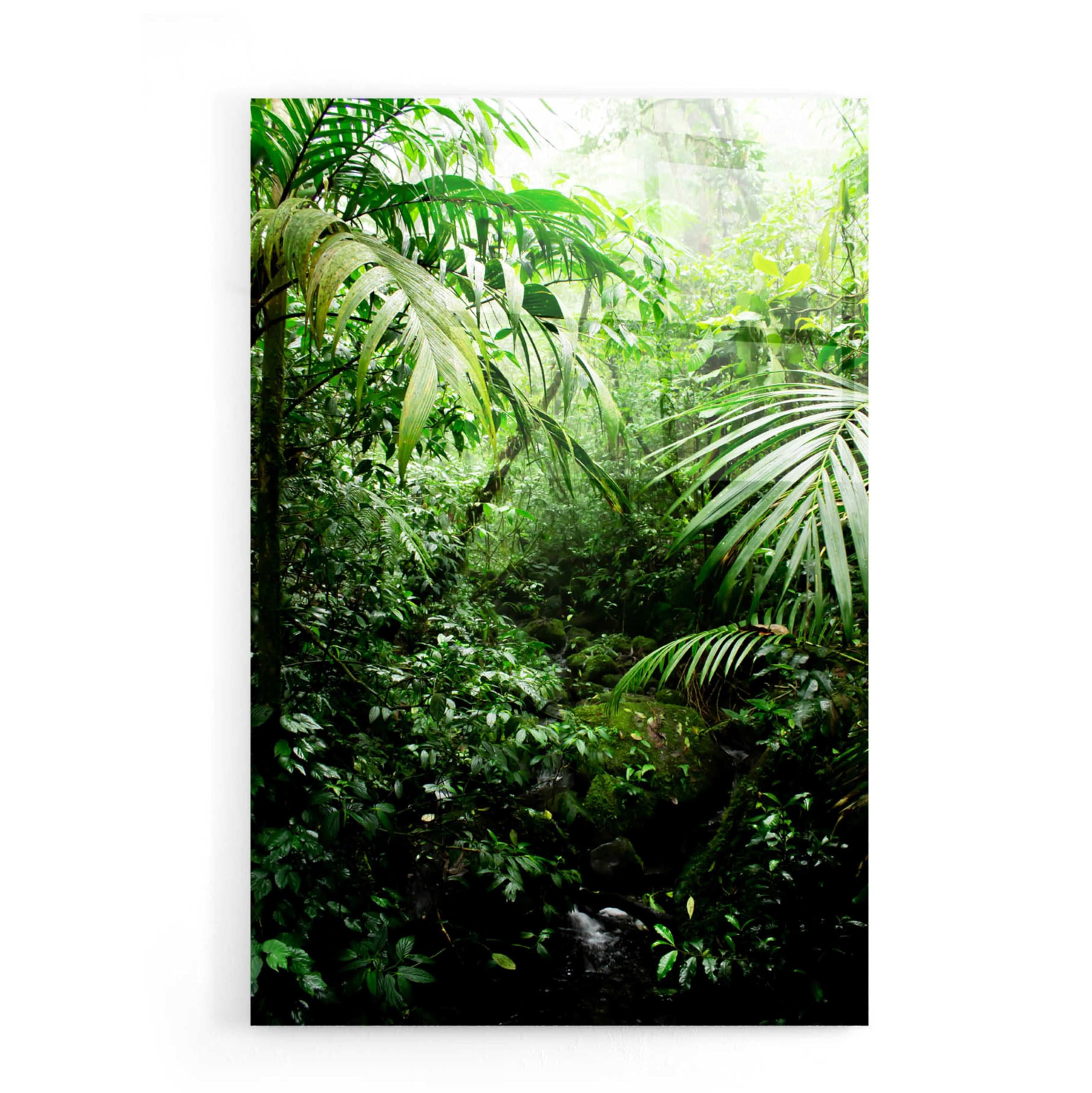 Nicklas Gustafsson 'Misty Rainforest Creek' Acrylic Glass Wall Art - 16x24 Inches Modern Nature Painting for Living Room, Bedroom & Office Decor