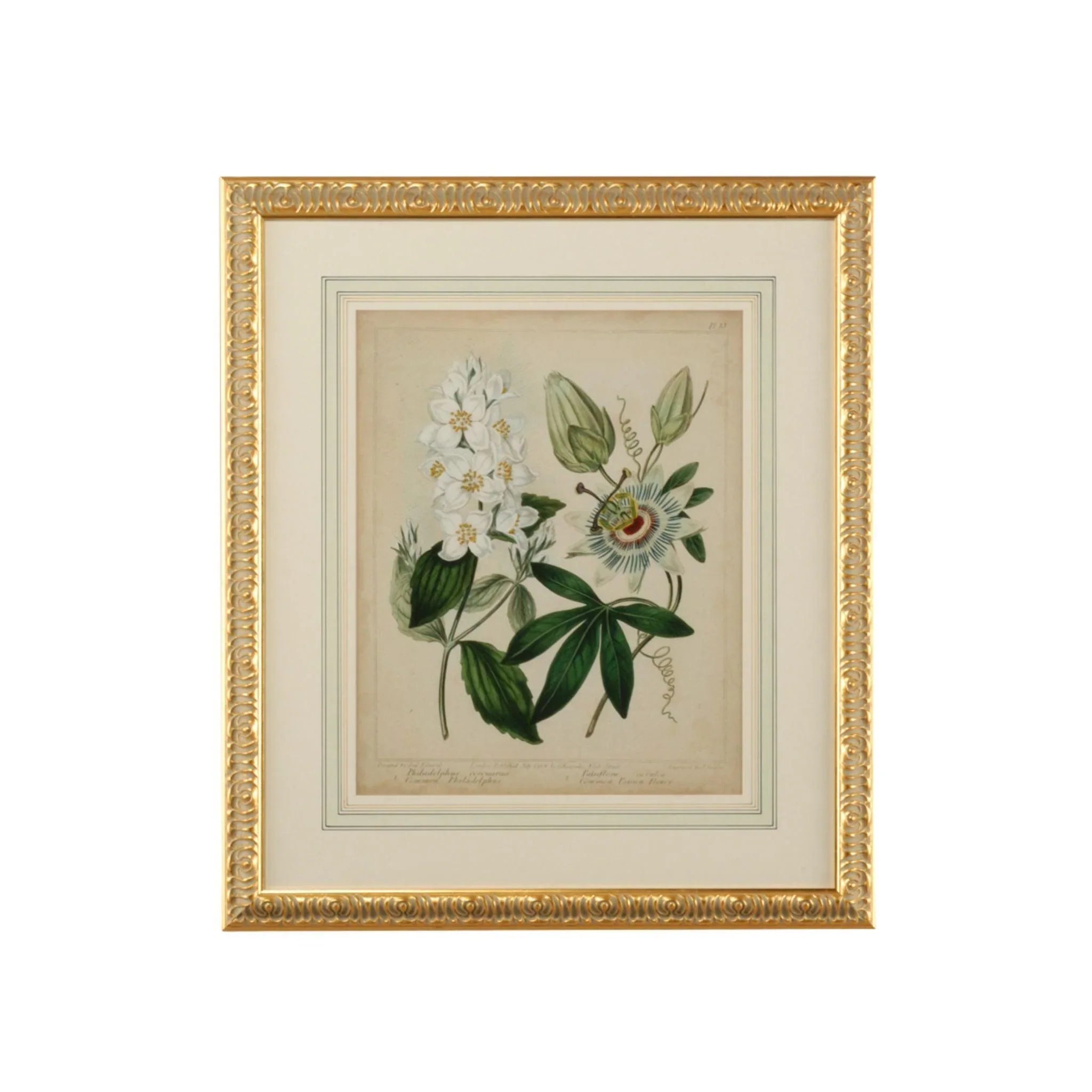 Cottage Botanical Florals II Framed Wall Art - Vintage Floral Print for Home Decor, Living Room, Bedroom & Office - Perfect Gift for Housewarming & Interior Design