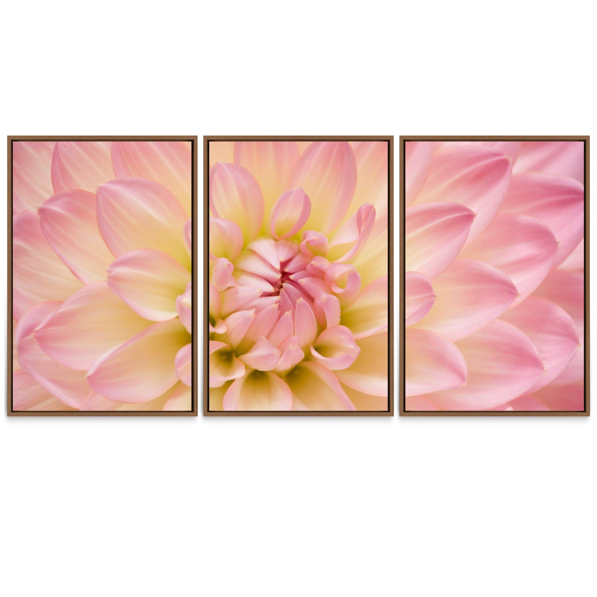 Pink and Yellow Dahlia Flower Framed Canvas Wall Art - Modern Floral Photography in Duotone for Living Room, Bedroom, Office Decor - 3 Panels 24