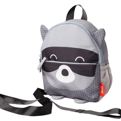 Racoon