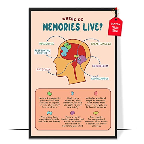Where Do Memories Live