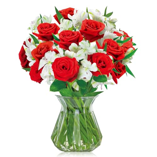 Deep Red Rose