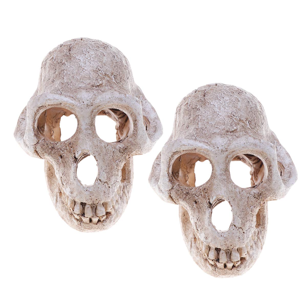 Balacoo Halloween Decor 2Pcs Reptile Hideout Cave - Realistic Skull & Monkey Skeleton Terrarium Decor for Lizards, Snakes & Fish Tanks - Perfect for Halloween Party, Spooky Home Decor & Reptile Habitat Accessories