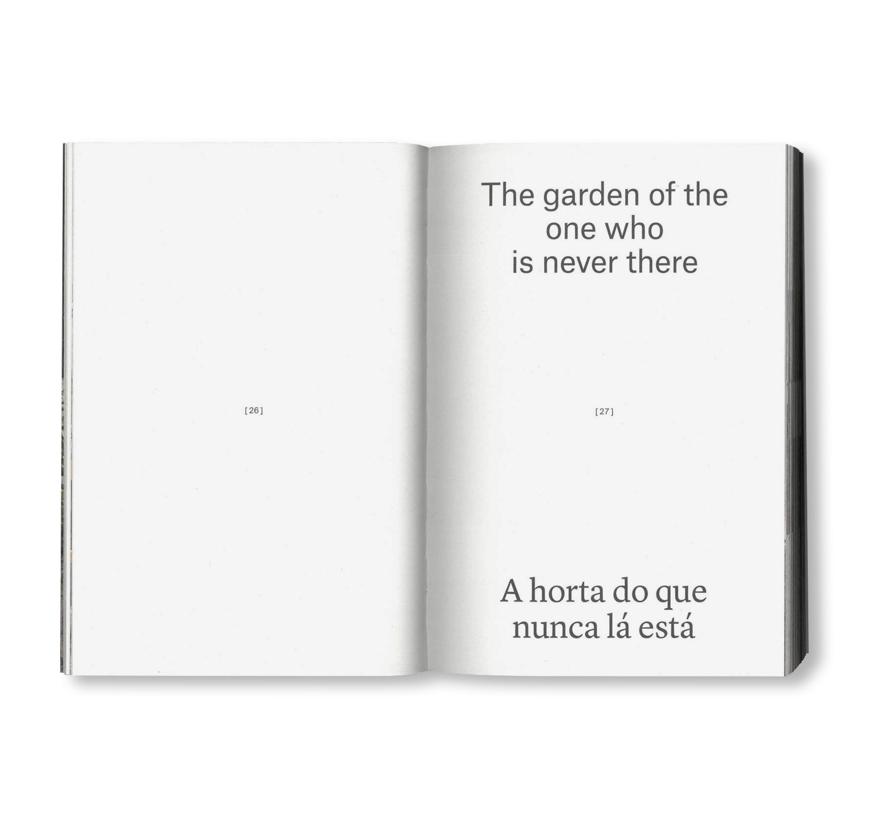 Notes from the Underdog - Inspirational Stories of Overcoming Adversity | Motivational Book for Entrepreneurs, Students & Dreamers | Perfect for Daily Reading and Personal Growth