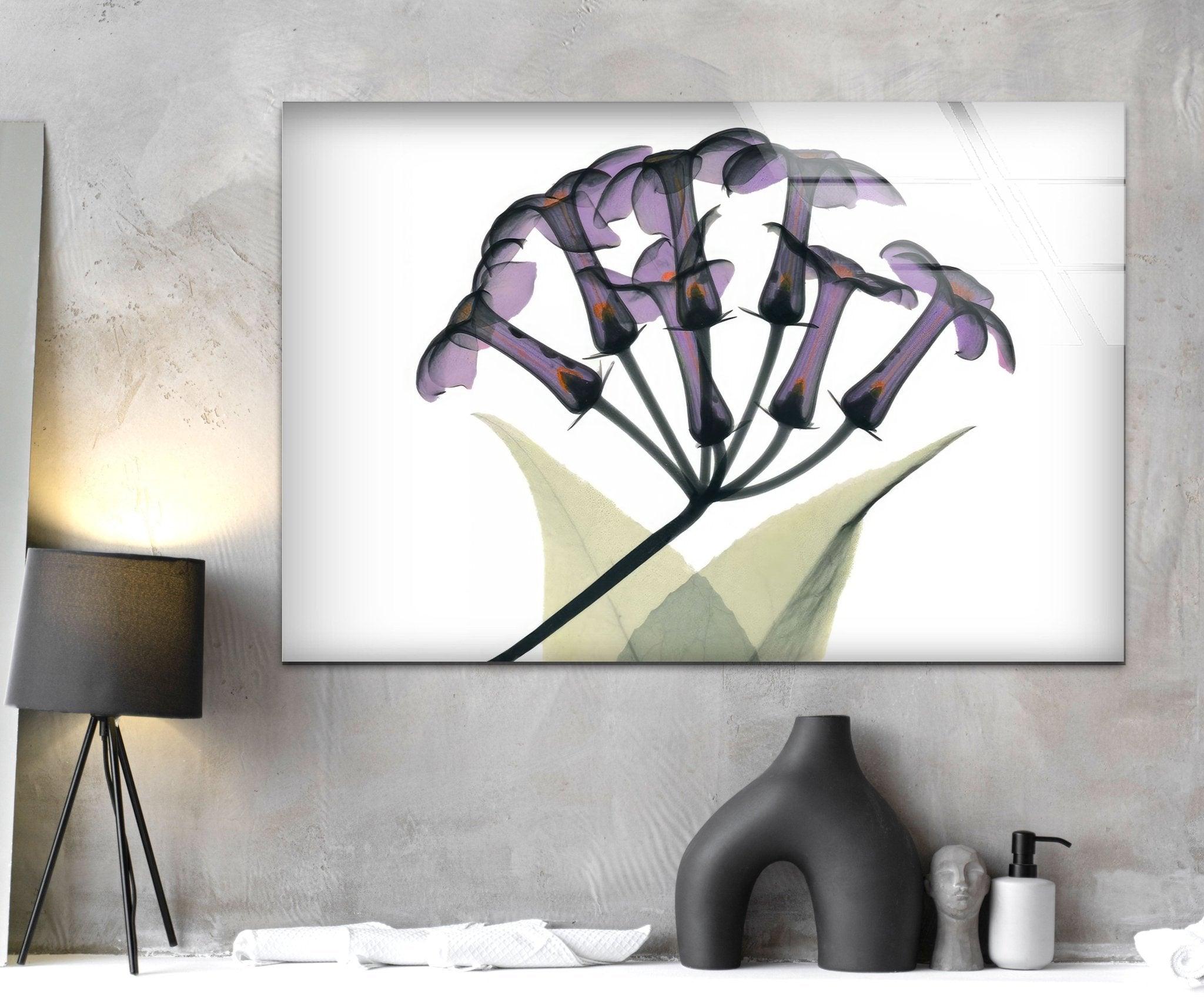 Albert Koetsier Xray Stephanotus Framed Glass Wall Art - Modern Abstract Decor for Living Room, Bedroom & Office