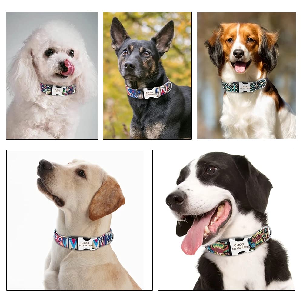 Moonpet Personalized Engraved Dog Collar with ID Tag - Adjustable Heavy Duty Pet Collar for Puppy, Small, Medium, Large Dogs - Perfect for Daily Walks, Training & Gifts