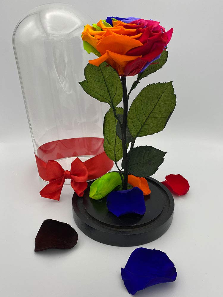 Forever Rose in Glass Dome - Handmade Preserved Real Rose, Long Lasting Beauty & the Beast Inspired Gift (Rainbow, Large Size) - Perfect for Mother's Day, Birthday, Anniversary, Valentine's Day, Proposal & Get Well Presents - Home Decor, Wedding Centerpiece & Romantic Gift Idea
