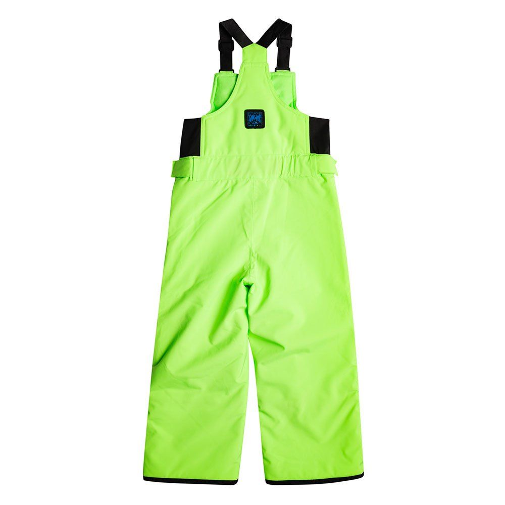 Quiksilver Boogie Boys Bib Ski Pants - Waterproof Snow Pants for Boys, Insulated Winter Ski Bib Overalls in Green Gecko Color - Perfect for Skiing, Snowboarding & Winter Outdoor Activities