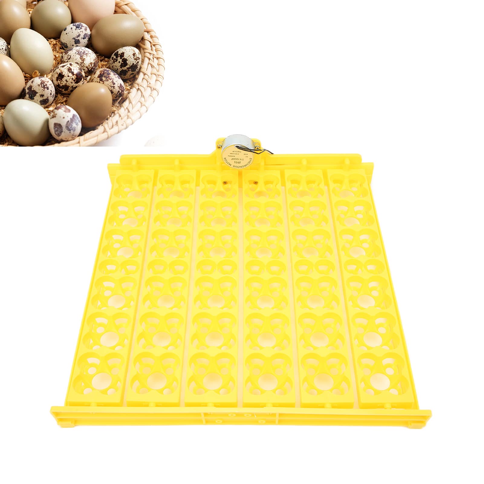 Automatic Egg Incubator Tray 110V - Durable Plastic Egg Turner for Chicken, Duck & Quail Eggs (Holds 36 Chicken or 156 Quail Eggs) - Perfect for Poultry Farming, Hatching Projects & Home Hatcheries