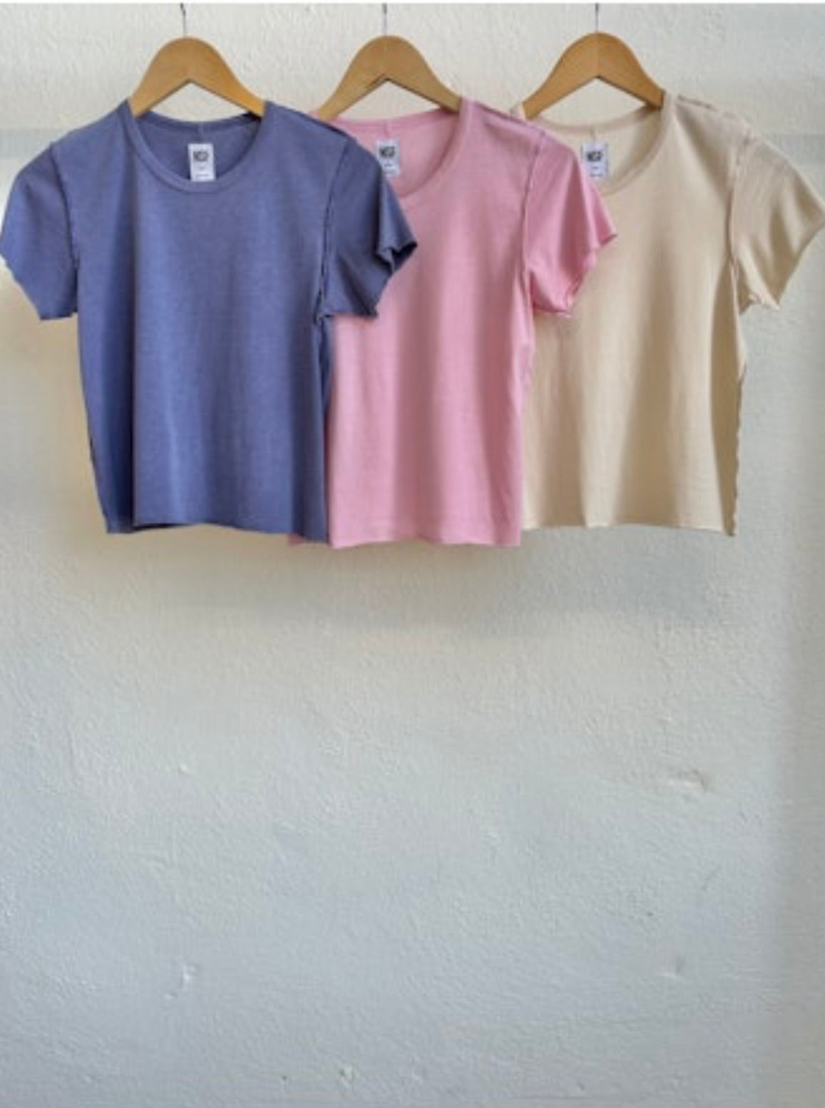 Tara Fitted Shrunken Crew Neck T-Shirt for Women - Soft Cotton Casual Tee for Everyday Wear, Street Style & Layering