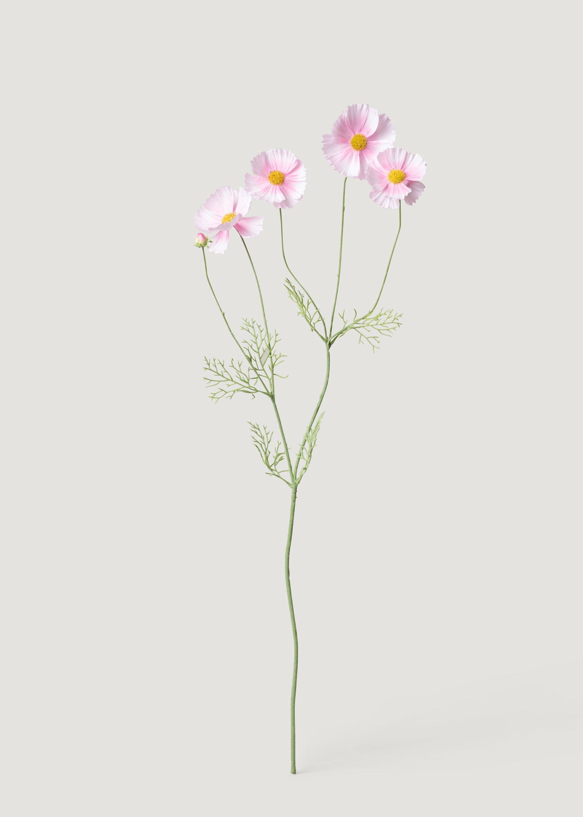 Pink Artificial Cosmos Daisy Flowers - 36.25