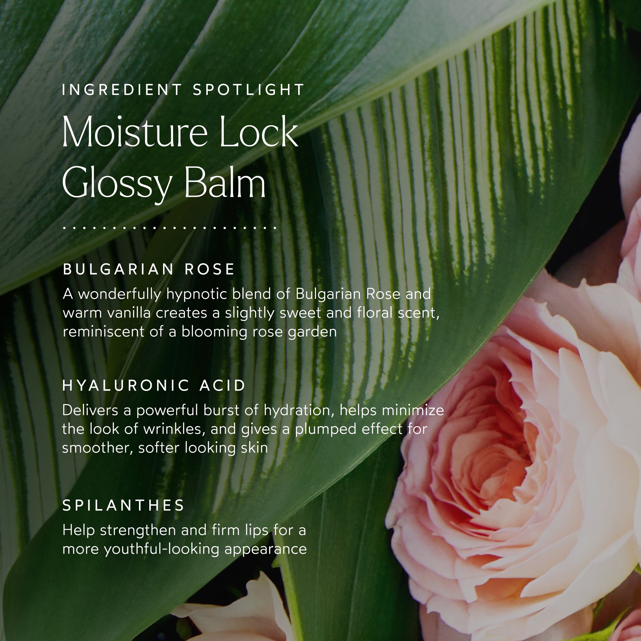 Best Moisture Lock Glossy Lip Balm for Dry Lips - Hydrating & Long-Lasting - Perfect for Winter, Outdoor Activities & Daily Care