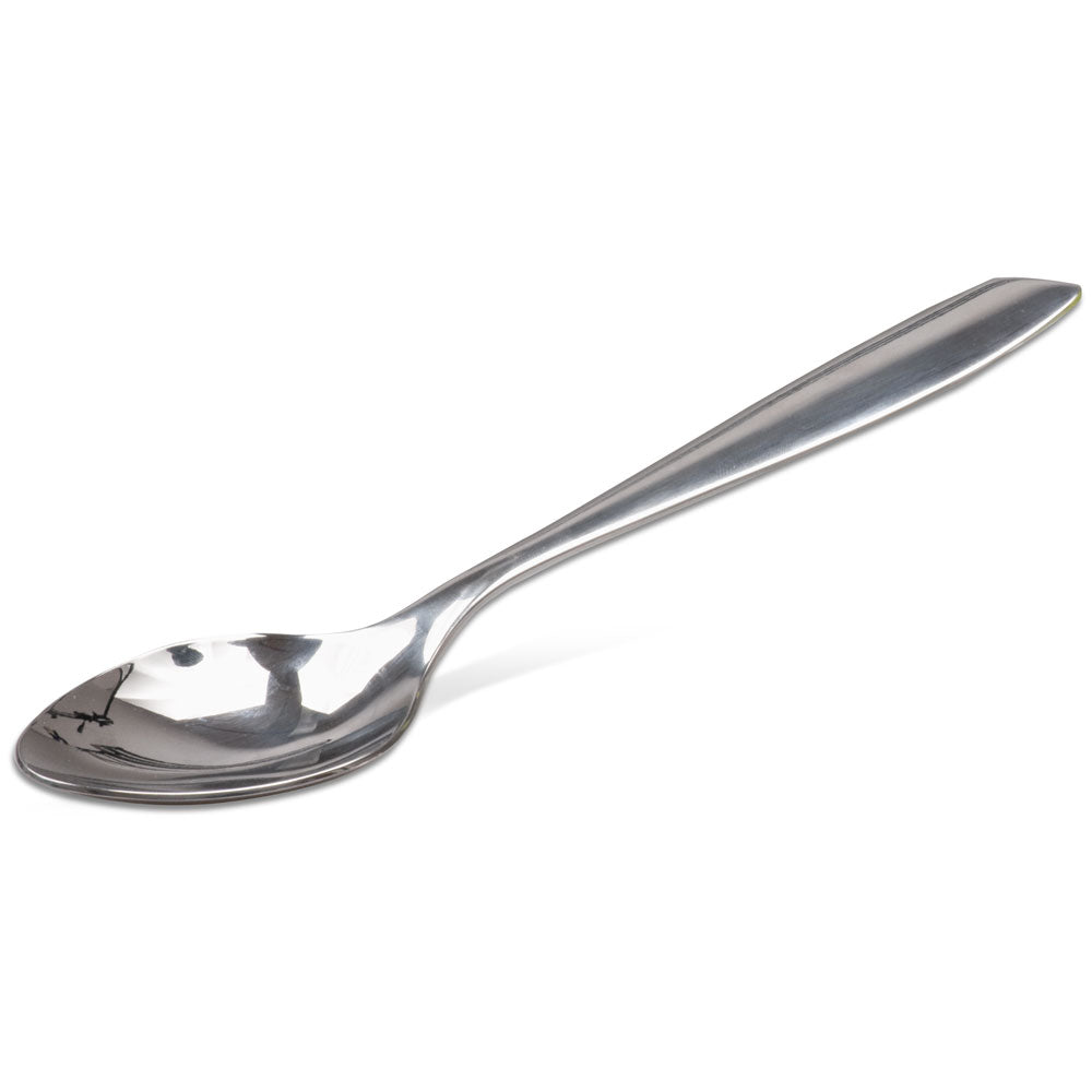 10 Inch Heavy Duty Serving Spoon - Stainless Steel Kitchen Utensil for Serving Salads, Pasta, Soups & More - Perfect for Restaurants, Catering & Home Use