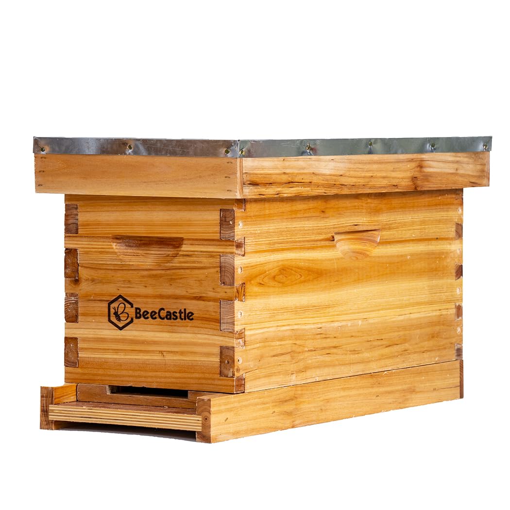 BeeCastle 5 Frame Bee Hive Nuc Box - 100% Beeswax Coated with Frames & Waxed Foundations | Starter Kit for Beekeeping, Honey Production & Pollination Gardens