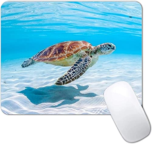 Sea Turtle