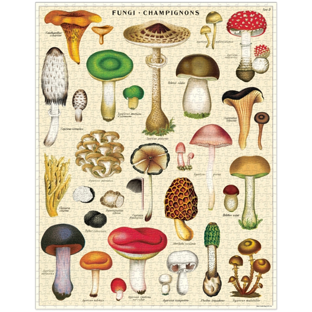 1000 Piece Mushroom Jigsaw Puzzle for Adults - Challenging Nature-Themed Puzzle for Relaxation & Home Decor