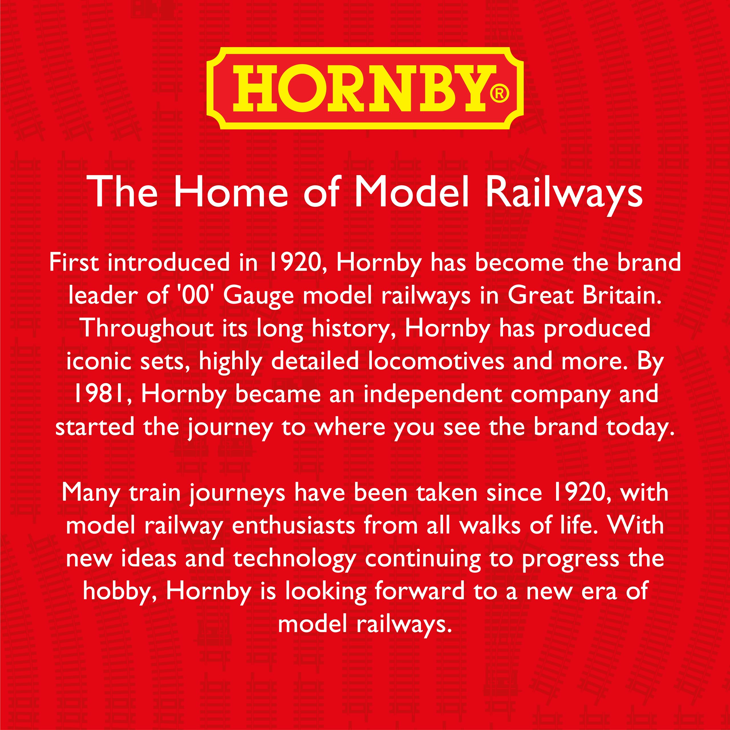 Hornby R207 Replacement Track Pins - Spare Parts & Train Accessories for OO Gauge Model Railway Sets | 1:76 Scale Fixing Pins | Coupling & Modeling Tools | Perfect for DIY Railway Repair & Layout Building