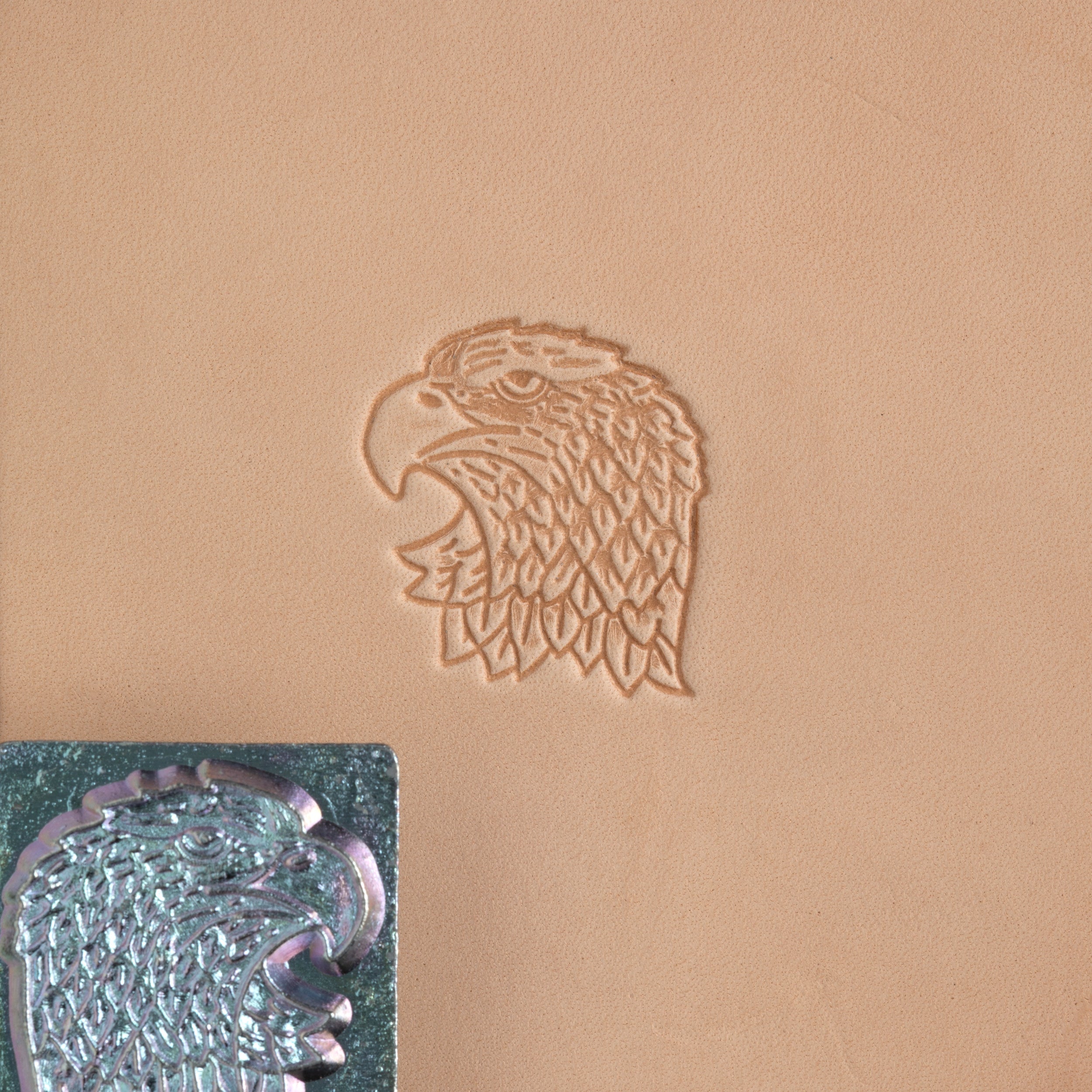 Craftool® Eagle Head Stamp Head - DIY Leather Crafting Tool for Leather Stamping, Embossing, and Branding - Perfect for Leatherworking, Bookbinding, and Custom Leather Projects