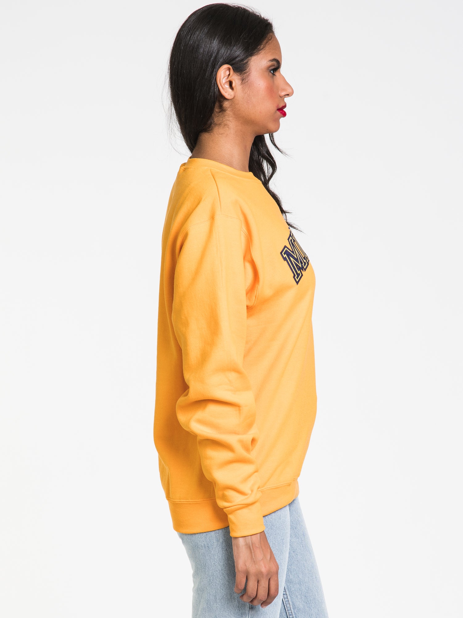 Champion Eco Powerblend Michigan Crewneck Sweater - Soft & Sustainable Cotton Blend, Comfortable Pullover for Men & Women - Perfect for Casual Wear, Outdoor Activities & Layering in Cool Weather
