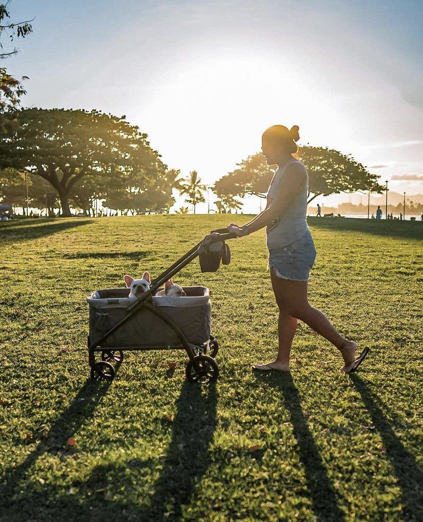 Baby Trend Expedition 2-in-1 Stroller Wagon PLUS - Ultra Grey | Convertible Stroller & Wagon for Kids | Perfect for Park Outings, Beach Trips & Family Adventures