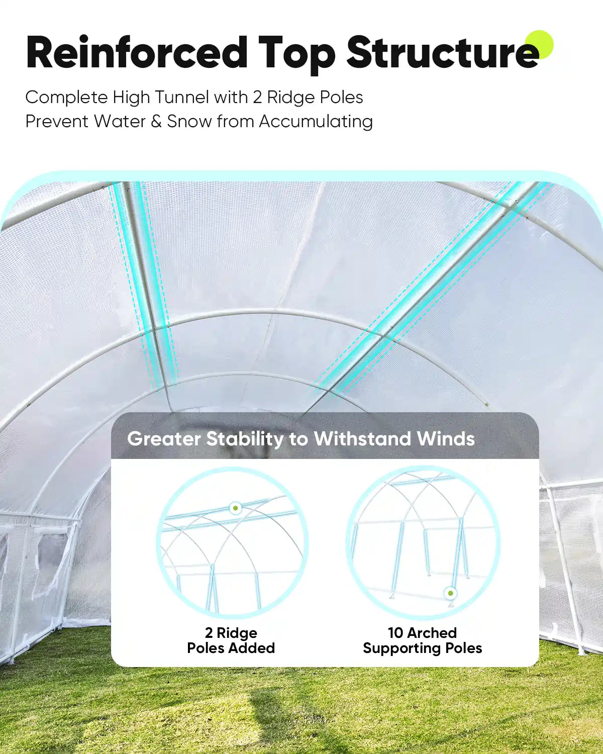 20' x 10' x 6.6' Large Walk-in Greenhouse for Outdoor Gardening - Perfect for Growing Vegetables, Flowers & Plants Year-Round