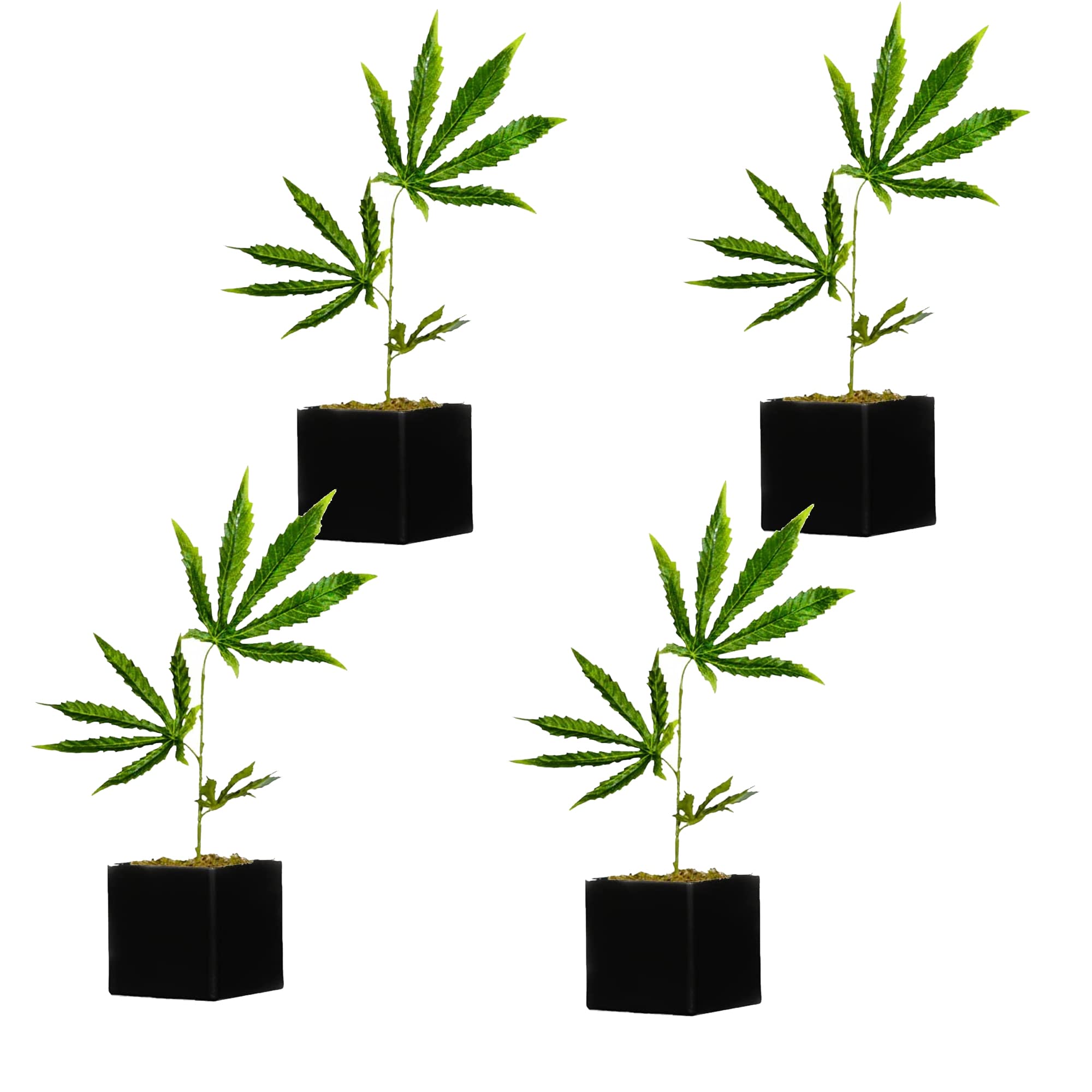 15 Inch Fake Weed Plant for Desk Decor - Realistic Replica Cannabis Plant with 3.9 Inch Pot - Funny 420 Accessories & Home Decoration - Perfect for Prank Gifts, Stoner Room Decor, and Office Pranks