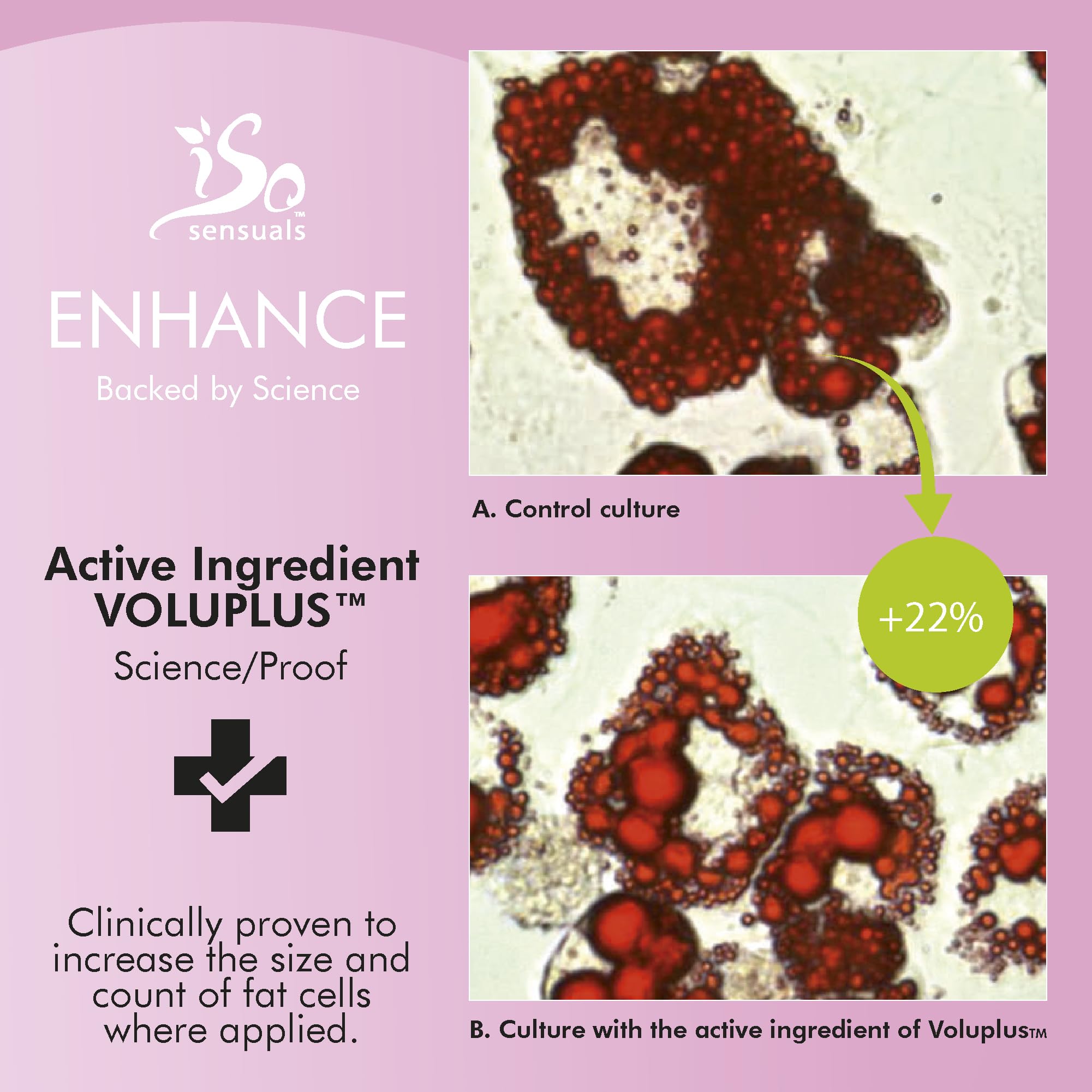 ENHANCE Breast Enlargement Cream - 6 Bottles Natural Enhancement for Fuller & Firmer Bust | Perfect for Daily Massage & Nighttime Care