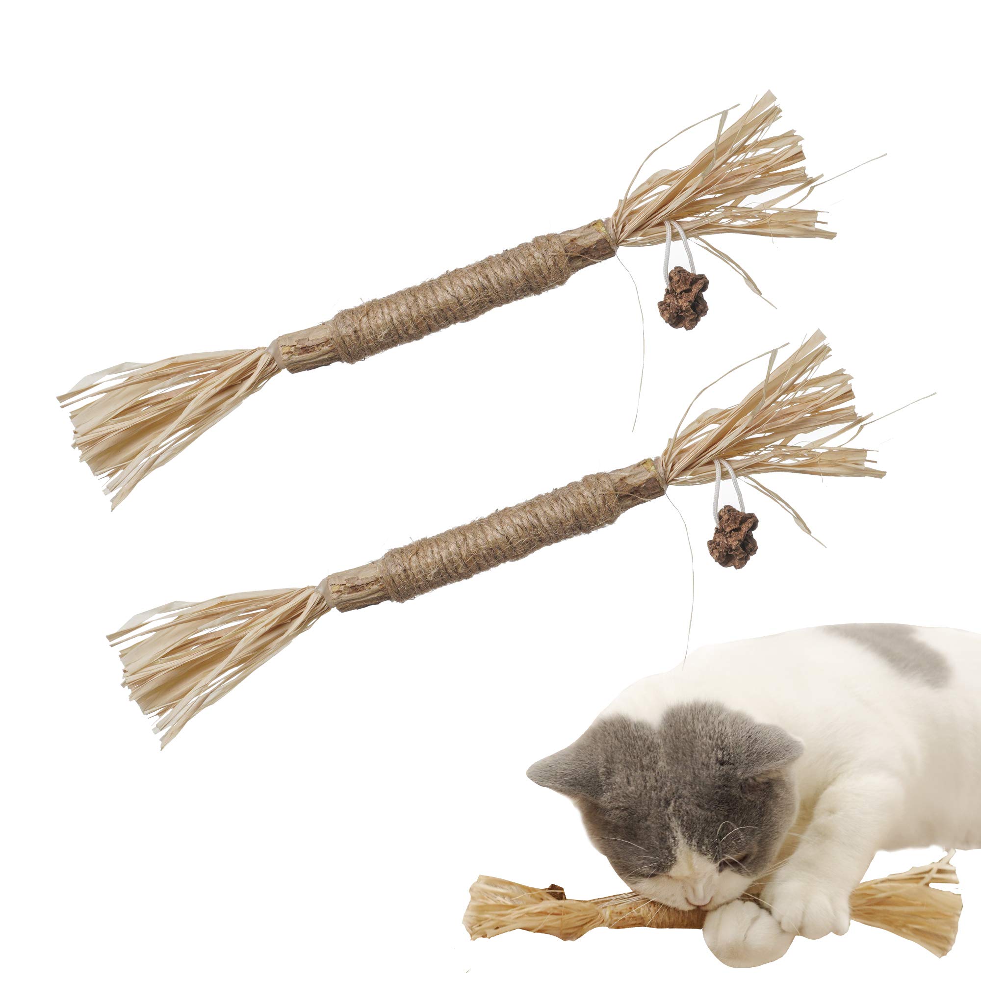 PAZ'S GIFT Natural Catnip & Silvervine Cat Toys - 2 Pack Raffia Chew Sticks for Teeth Cleaning, Interactive Kitten Teething Toy, Dental Care & Play for Indoor Cats - Perfect for Playtime & Stress Relief