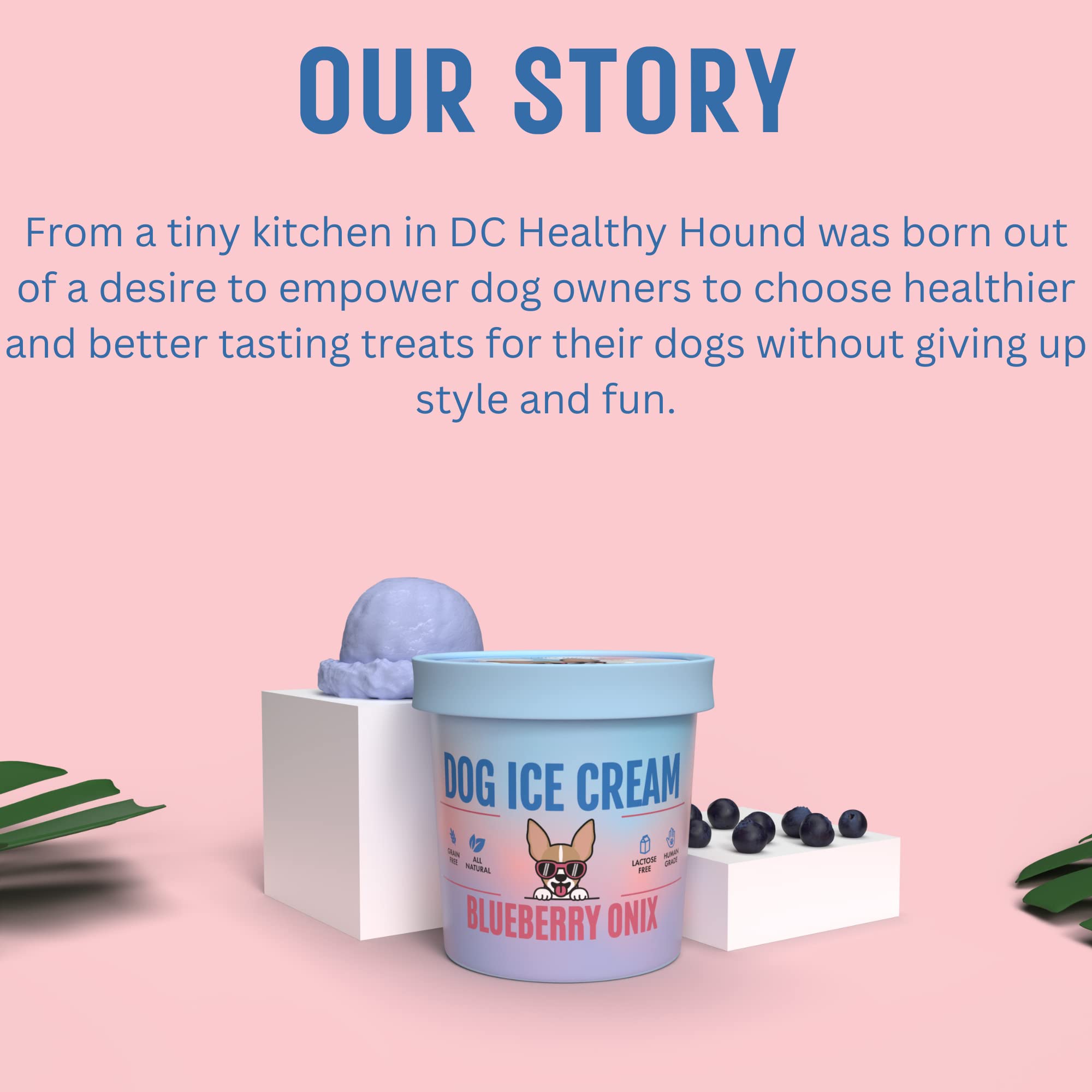 Healthy Dog Ice Cream Mix - Blueberry Flavor, All-Natural Frozen Dog Treats for Summer, Birthdays & Special Occasions - Perfect for Cooling Down Your Pup on Hot Days