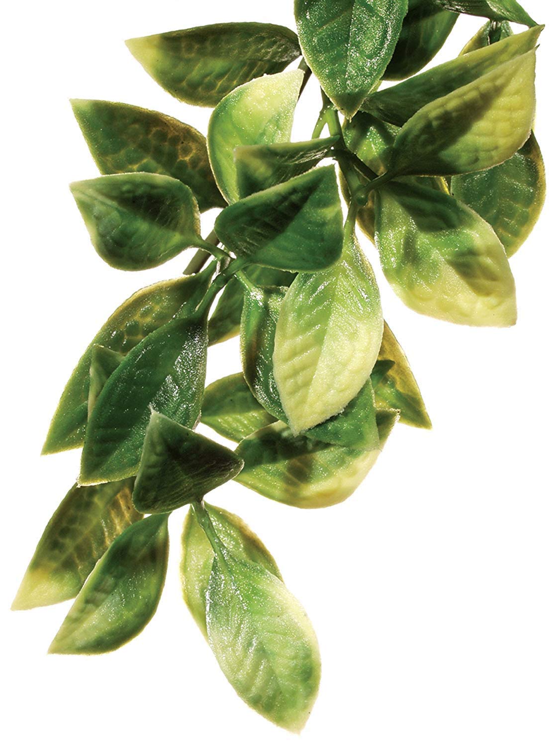 Exo Terra Large Plastic Terrarium Plant for Reptiles - Mandarin Green Artificial Decor for Vivarium, Terrariums & Reptile Habitats - Perfect for Geckos, Snakes & Amphibians