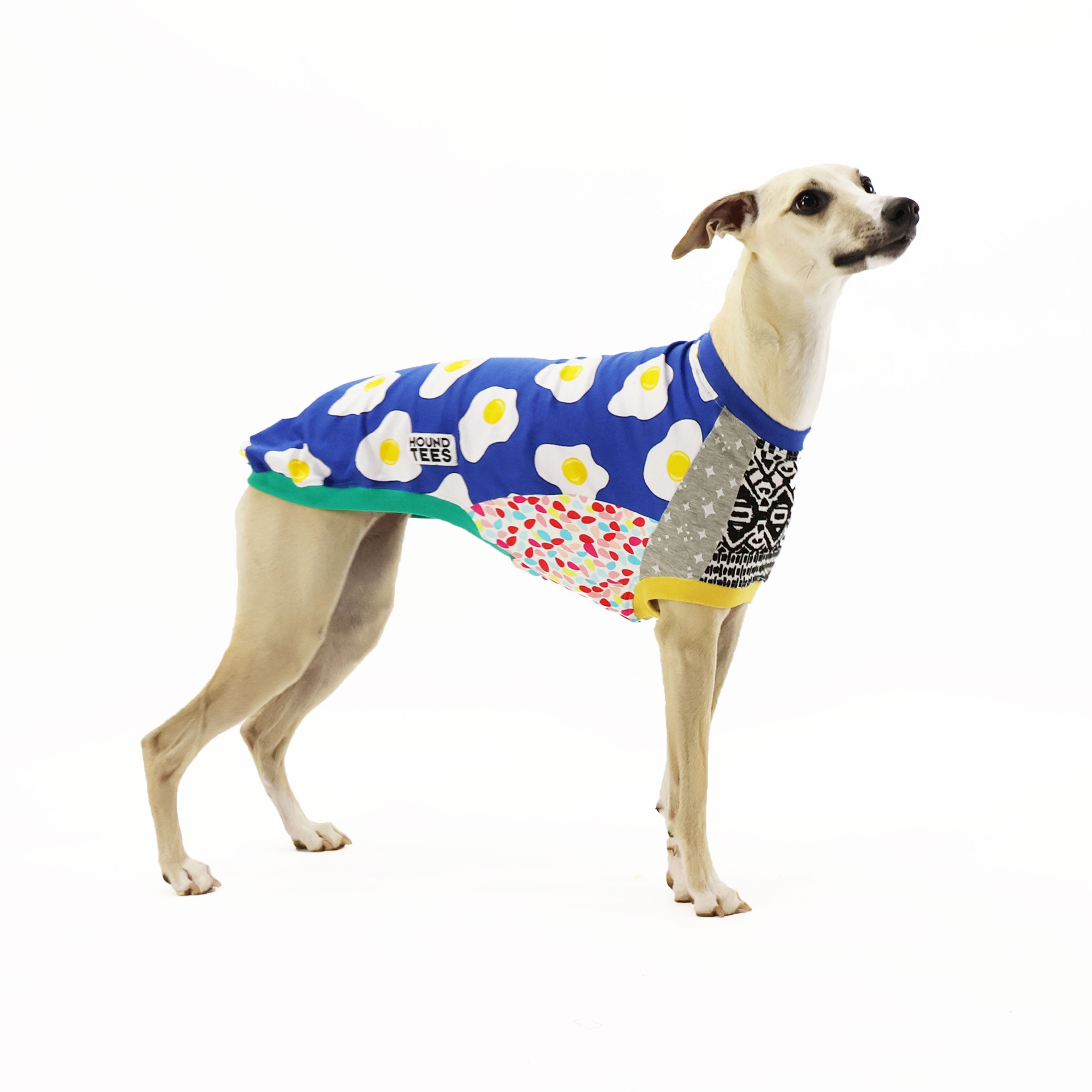 Limited Edition Frankie Print Whippet Sleeveless Hound Tee - Vintage Dog Lover T-Shirt for Women & Men - Perfect for Casual Wear, Dog Walks & Pet Lover Gifts
