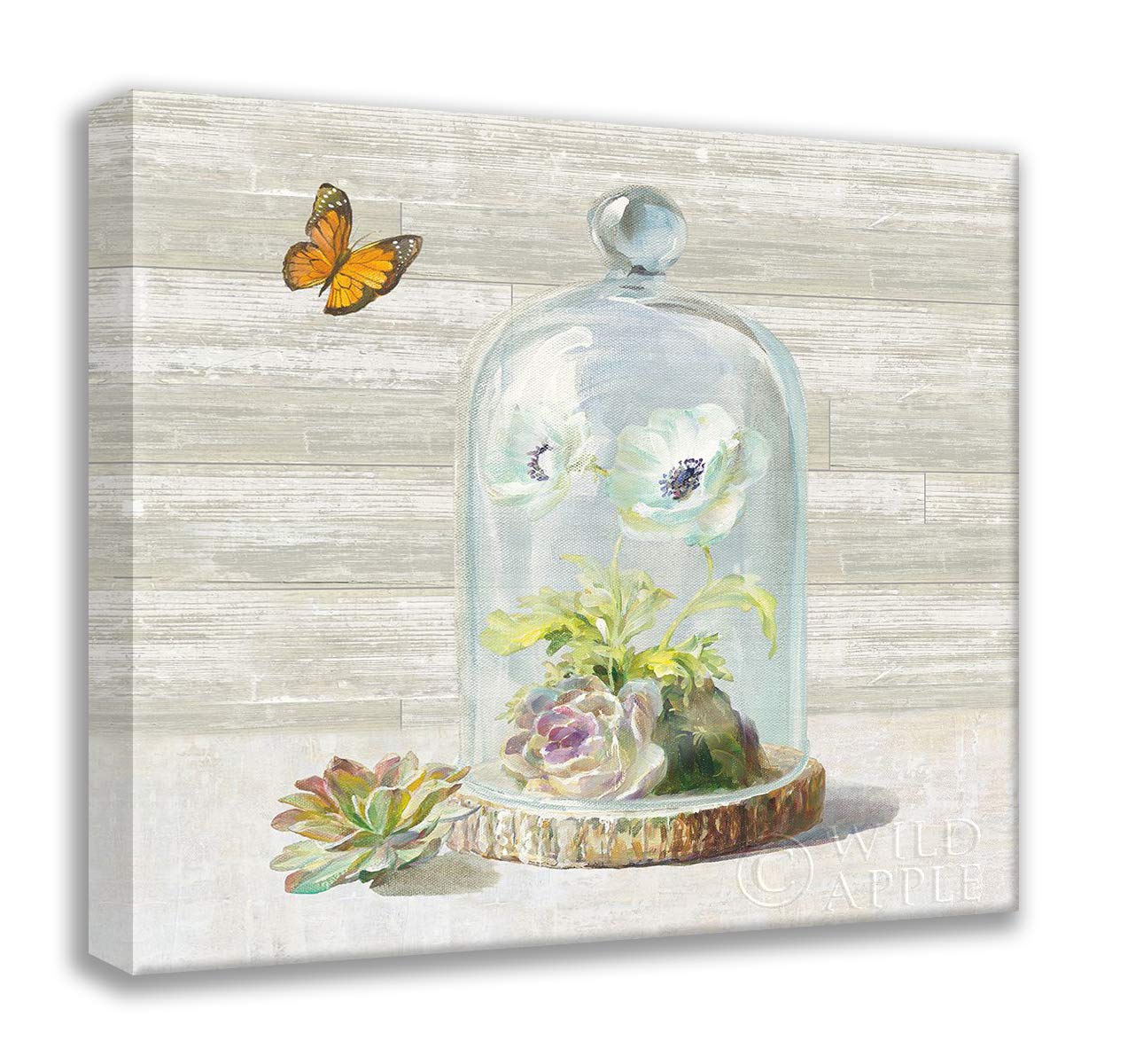 NAI, Danhui 20x20 Inch Succulent Garden I Gallery Wrapped Canvas Wall Art - Perfect for Living Room, Bedroom & Office Decor